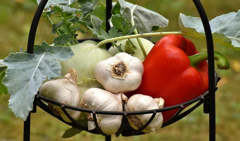 Seasonal Produce